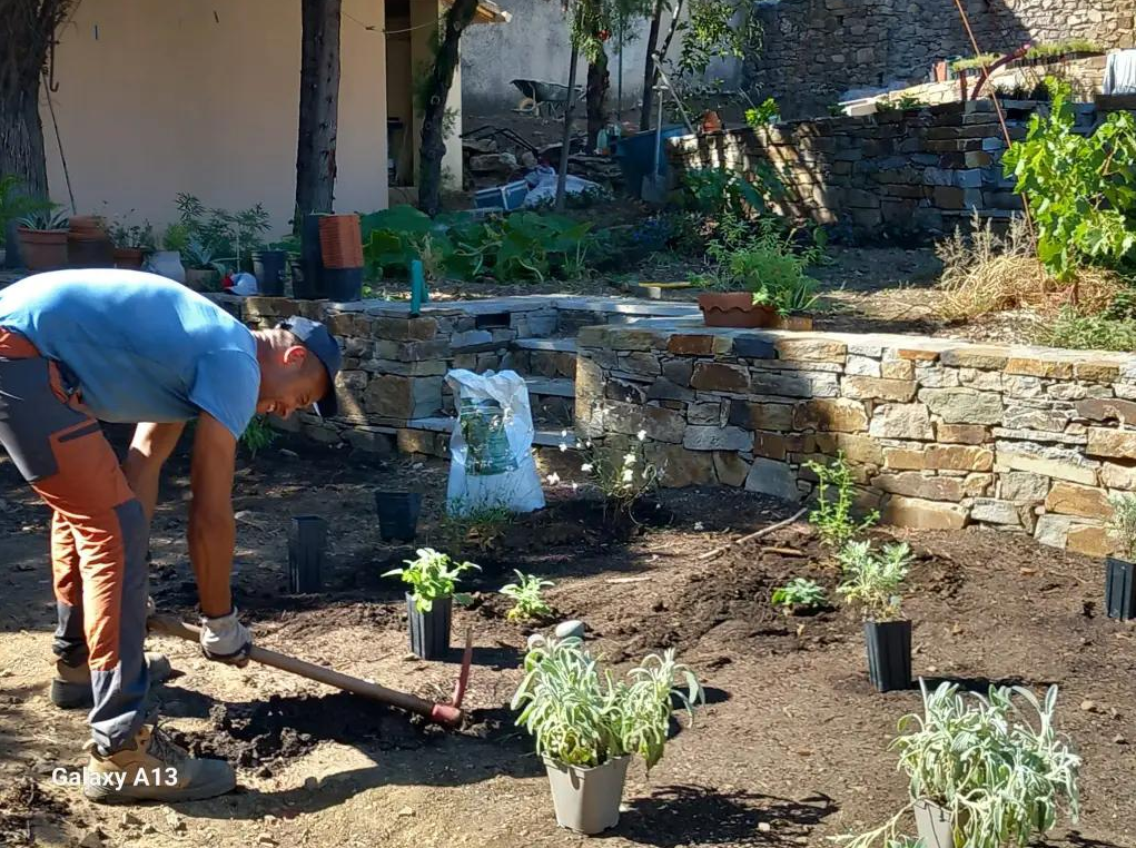 Entretien de jardins